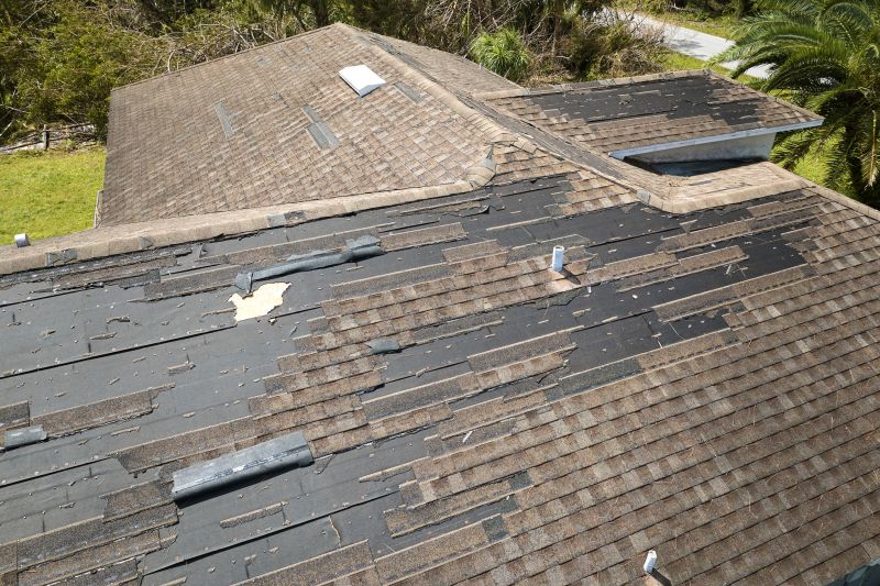 Damaged Shingles