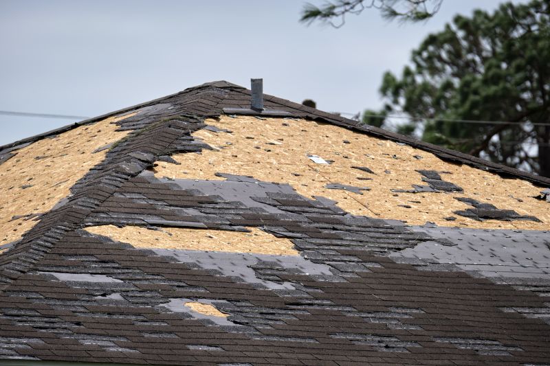 Repaired Roof with New Shingles